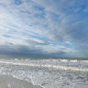 Meet your Posher, Cheryll